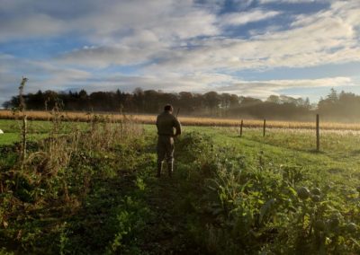 Axel dans les Jardins de Brangoulo