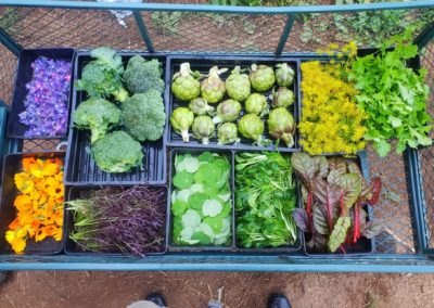 Une livraison des Jardins de Brangoulo pour le restaurant Louise à Lorient