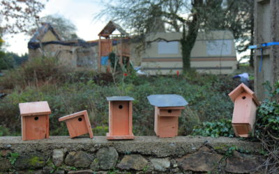 Coup de pouce aux oiseaux du hameau