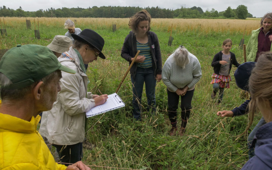 Animations « nature » pour Alpha-B