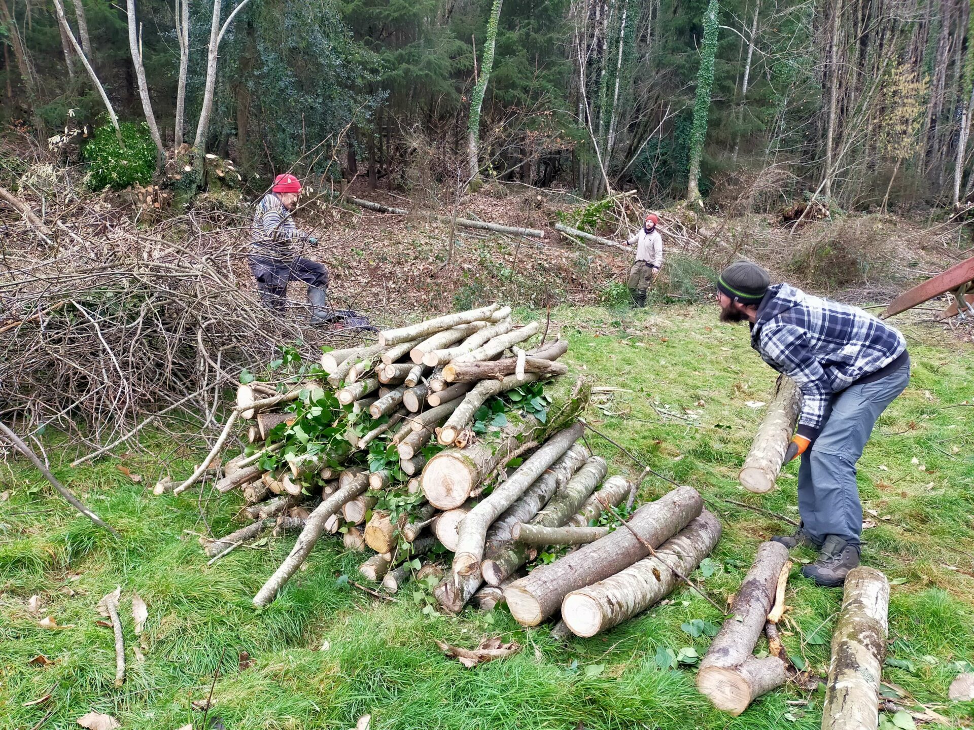 Chantier bois de chauffe 2022-2023