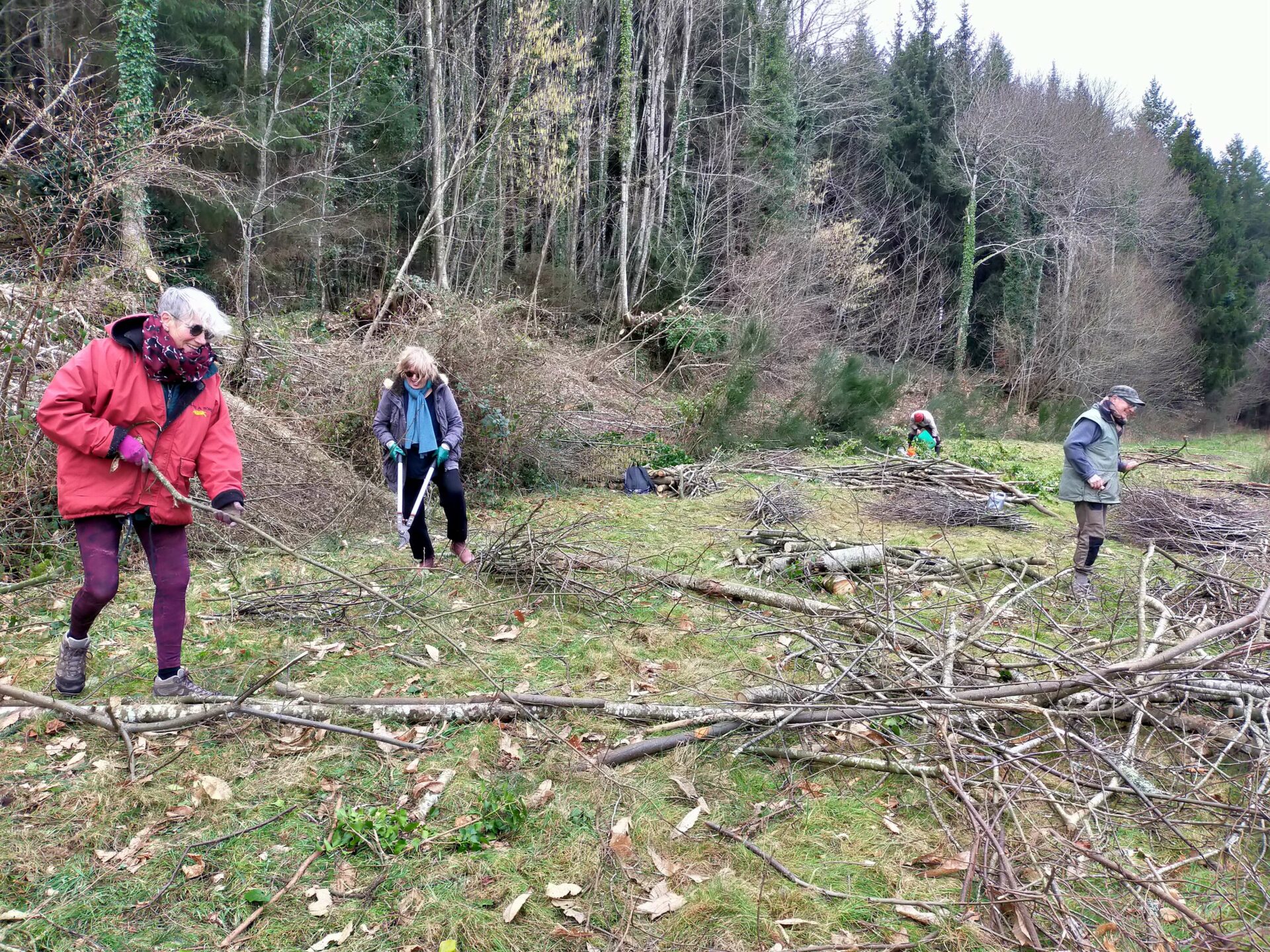 Chantier bois de chauffe 2022-2023