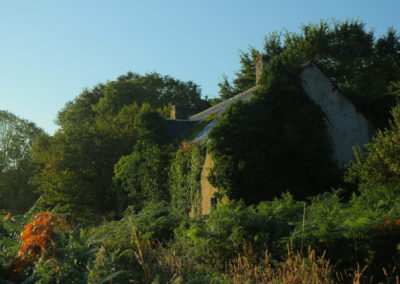 Brangoulo en 2019 (bâtiment F)