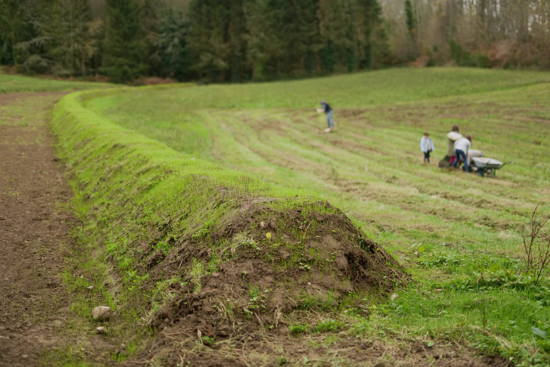 Un billon de Breizh Bocage