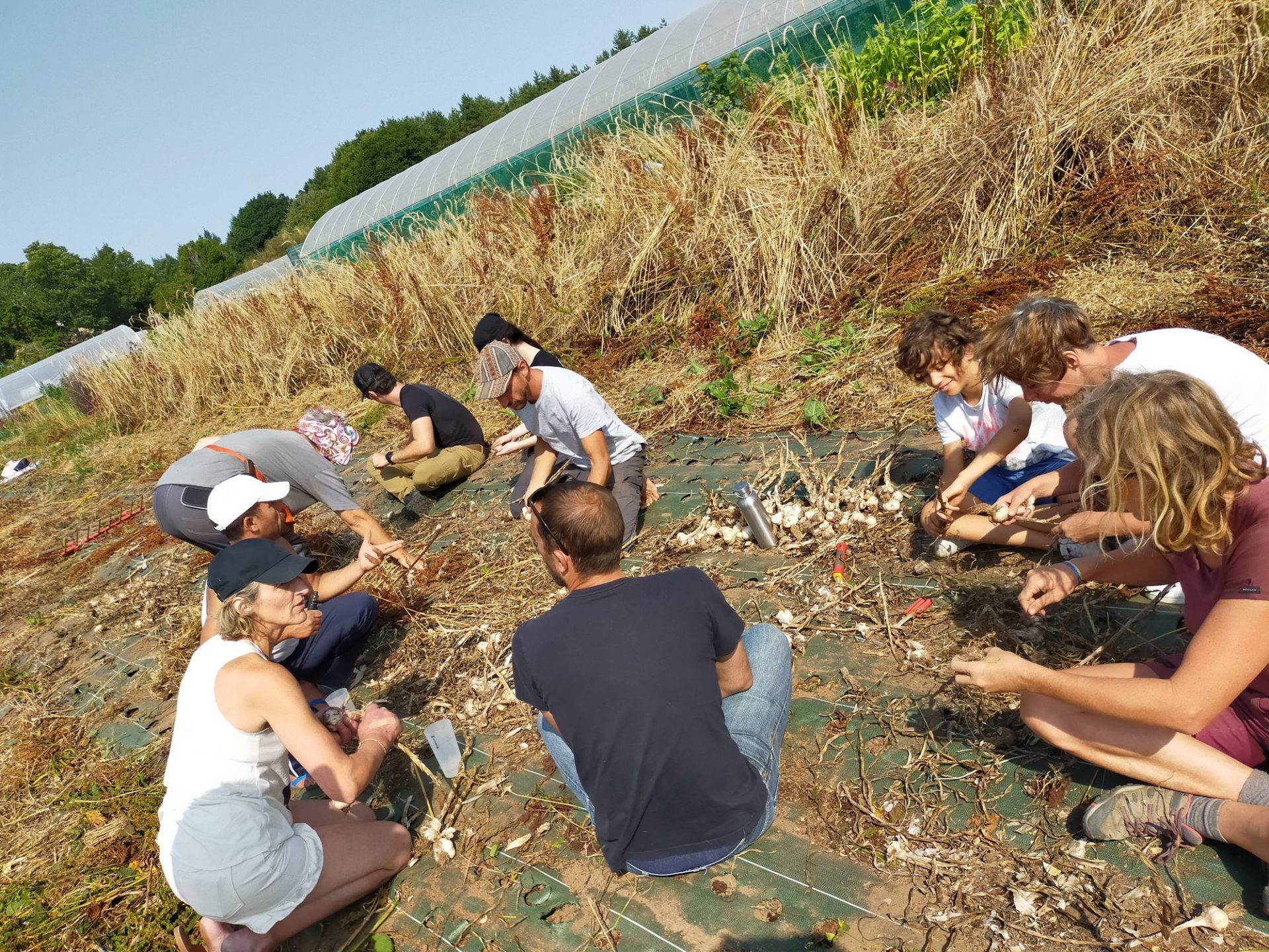 Chantier ail dans les Jardins