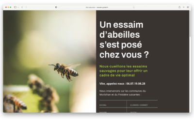 Ce printemps nous cueillons des essaims d’abeilles