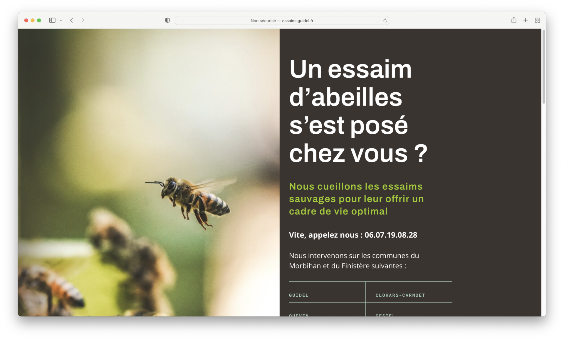 Un nouveau site internet pour récolter des essaims d'abeilles